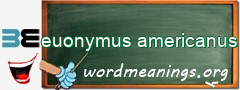 WordMeaning blackboard for euonymus americanus